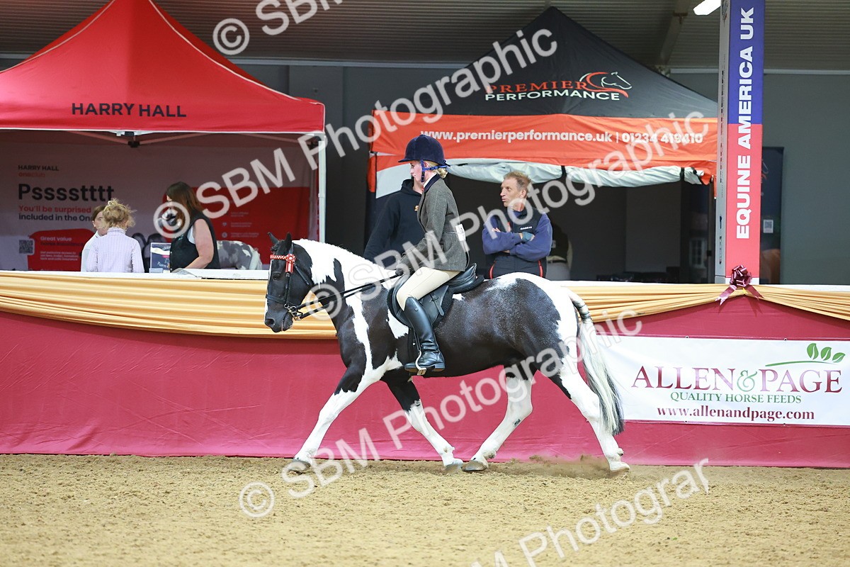 SBM_06138 - Class 12R - Ridden Pre-Vet