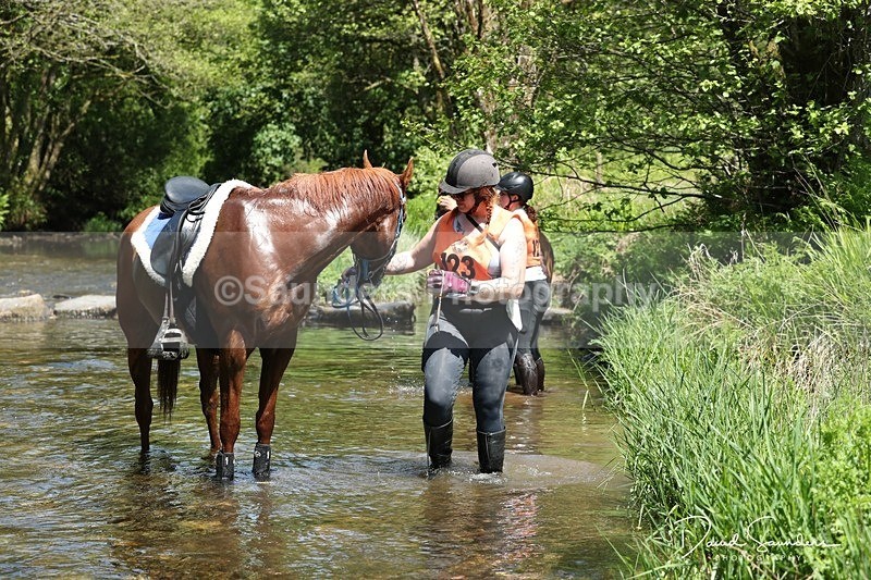 SPXX1371 - 123