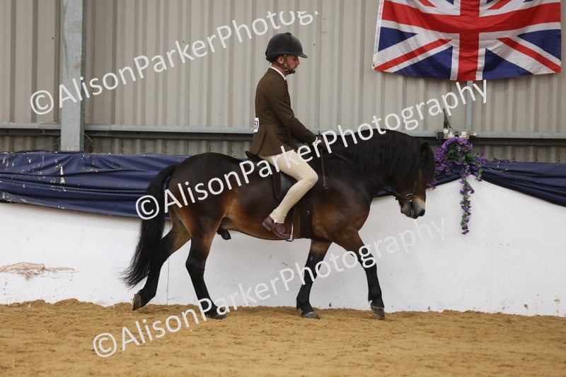 20260913-0599 - Class 126 - Novice Ridden
