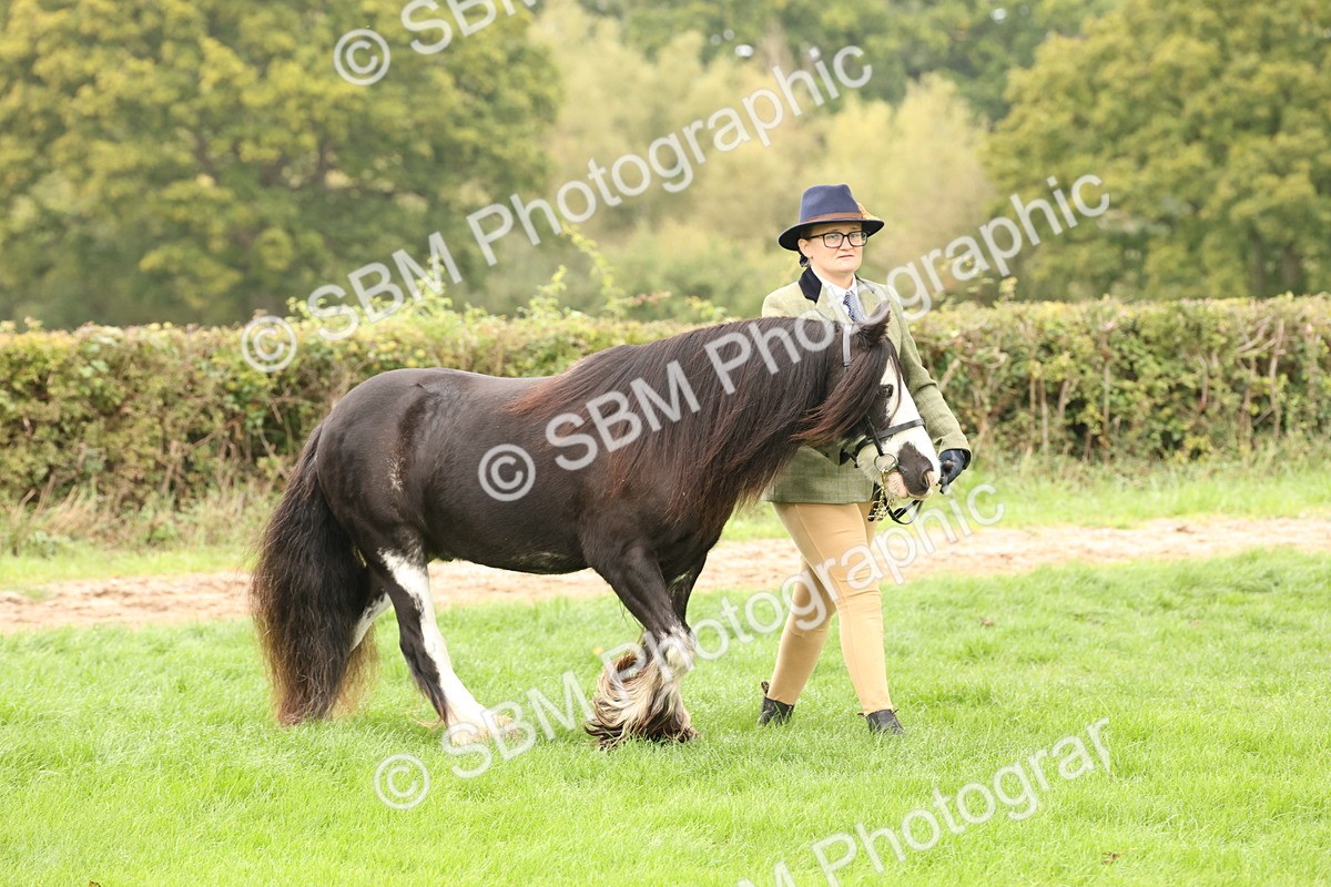 SBM_59202 - S57 - Traditional Cob In Hand