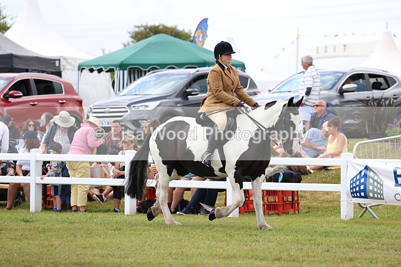 3E7A1861 - Class 10: Open Cob