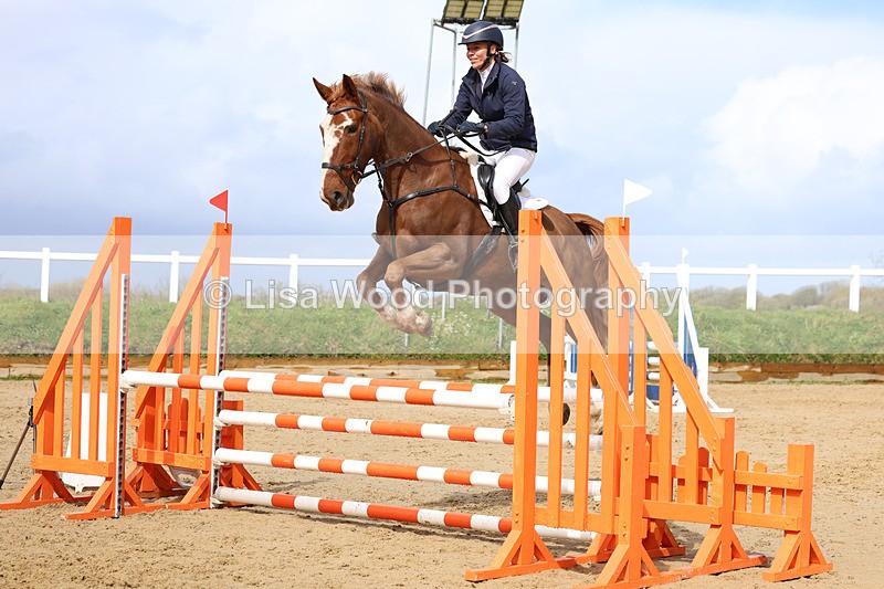 3E7A0843 - Class 4: Senior British Novice/90cm open
