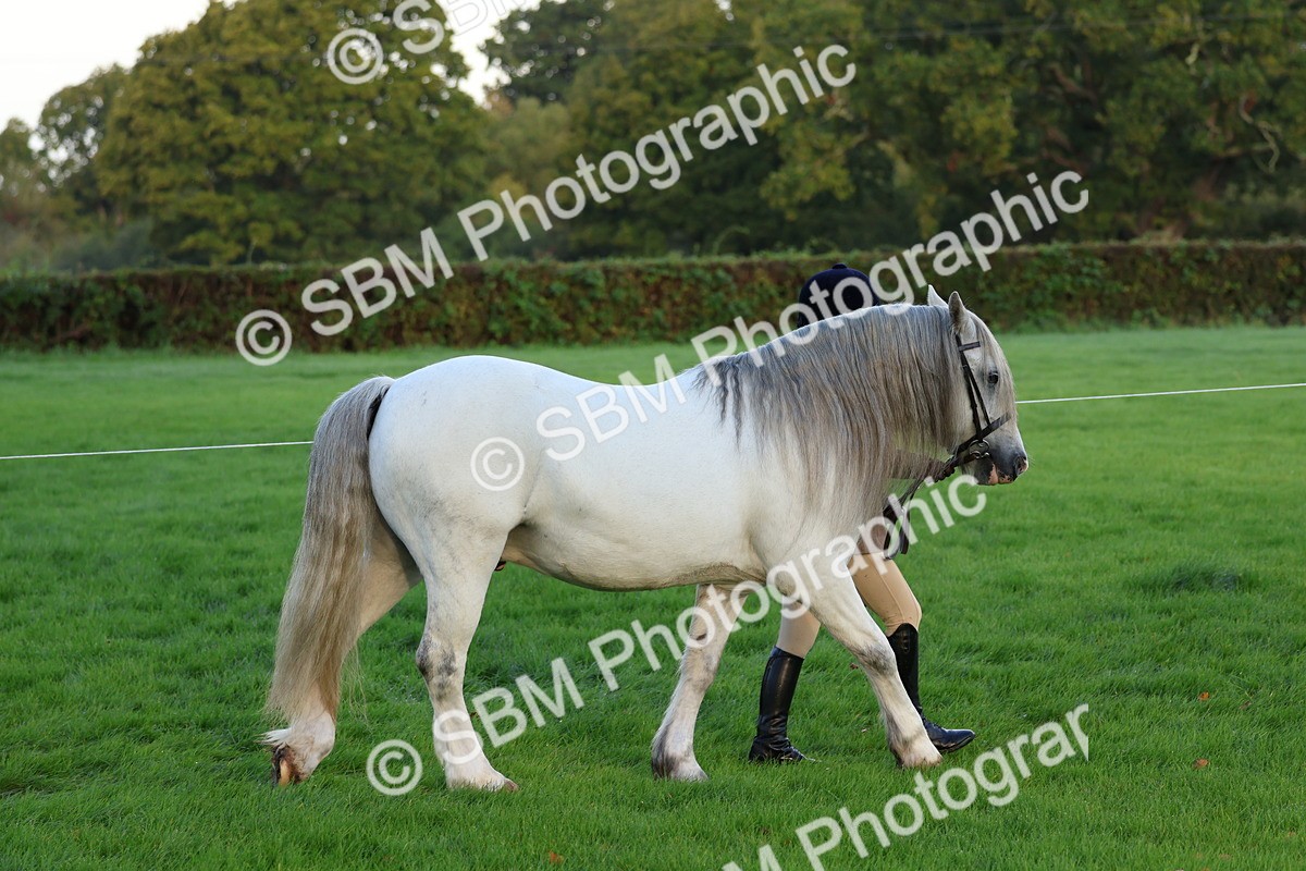 SBM_32744 - S8 - Best Turned Out