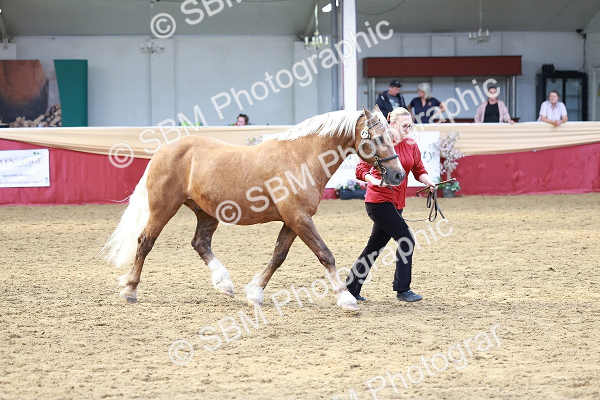 SBM_17517 - Class 951 - M&M IH Supreme Final