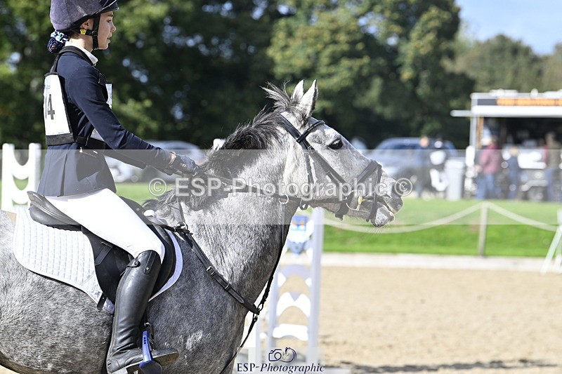 251005A-142654-04416 - Cls 09 Nov 80-85cm