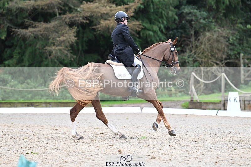 231019-145908-04328 - 059-MINNIE.MANOEUVREZ-Mark.Ford-DR