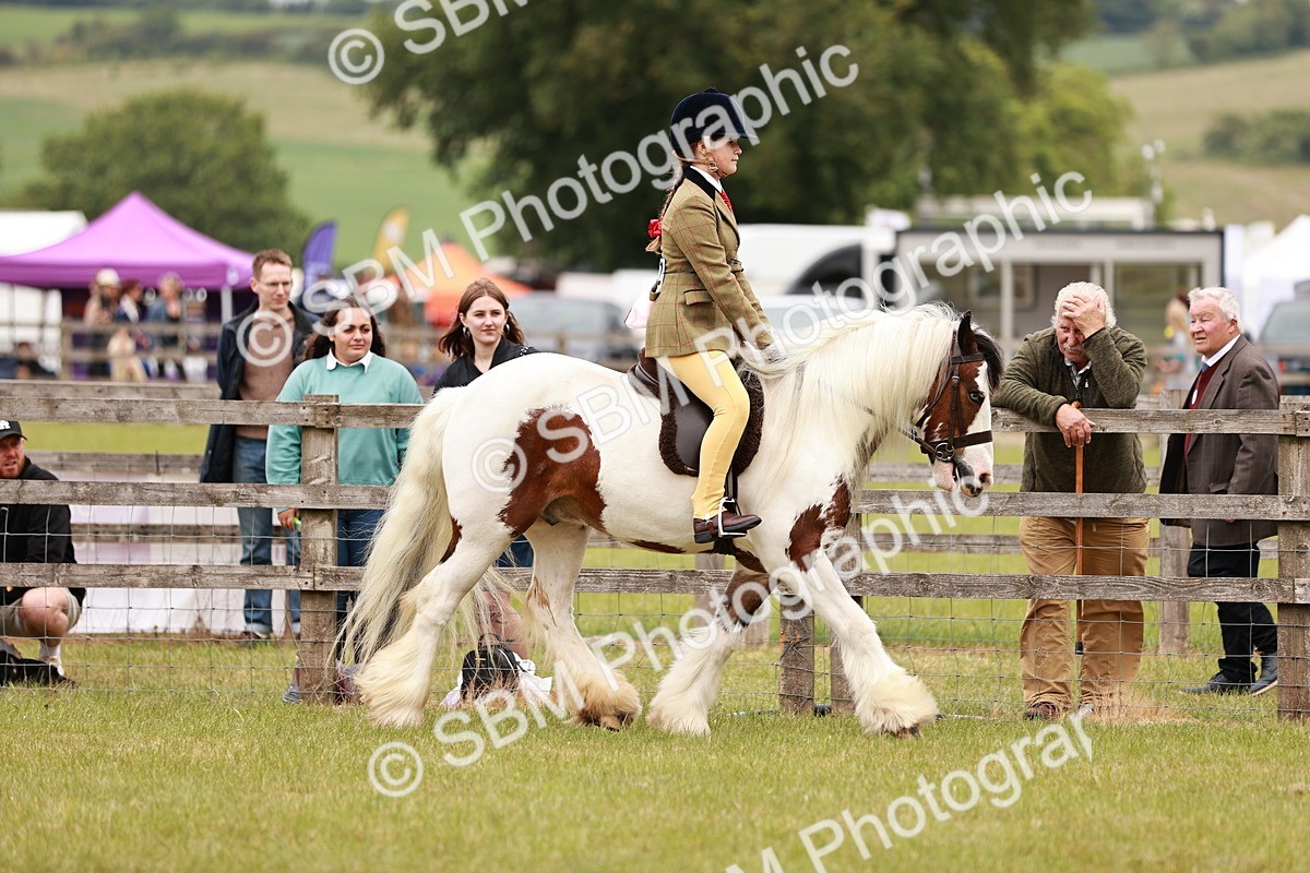 SBM_06198 - Class 39-41 TGCA In Hand and Ridden
