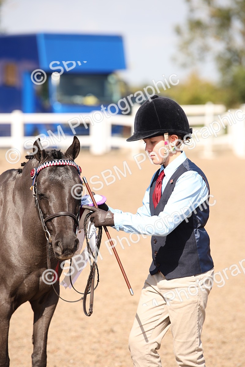 SBM_03078 - Class 17 Prettiest Mare IH or Ridden