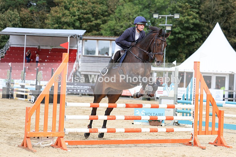 3E7A2268 - Class 4: Senior British Novice/90cm open