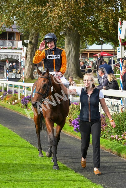 230923-Race 4-Aphelios-6545 - Race 4 3.45pm Jigsaw Sports Branding Handicap