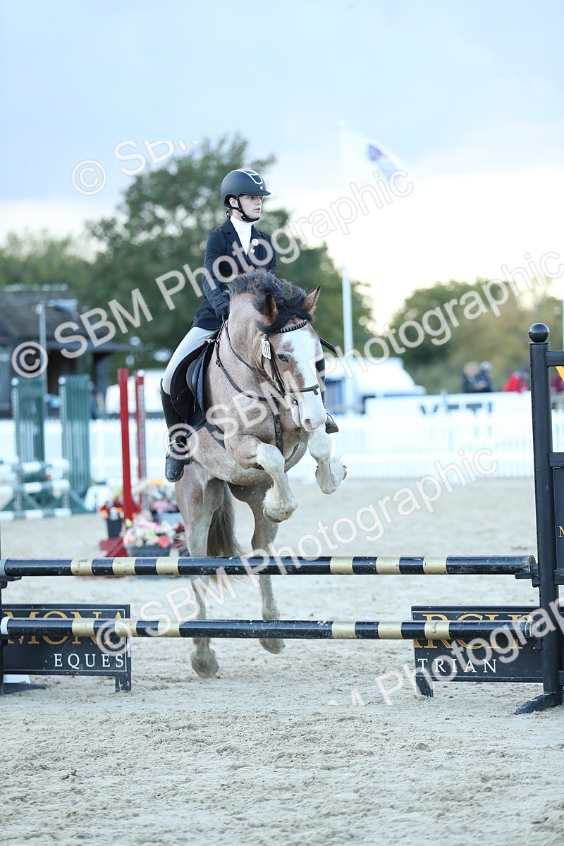 SBM_53672 - Supreme Championship 65cm 70cm