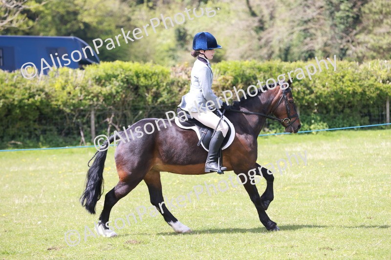 20240421-5334 - Tackley 2024 - Alice