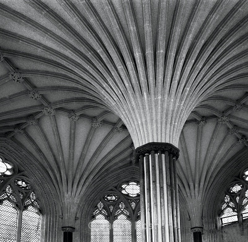 Wells Cathedral Chapter House Columns - Images from England