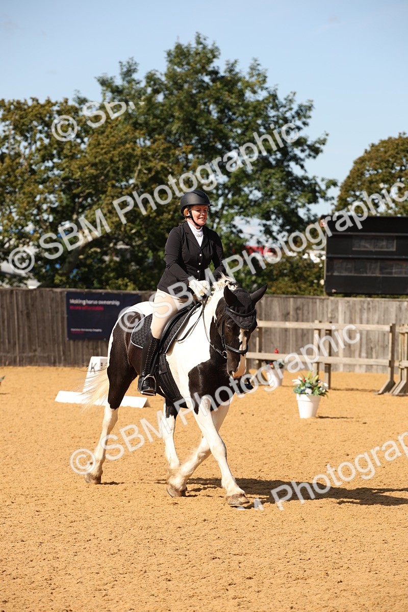 SBM_24119 - D5 - Small Tour Championship - Intro C