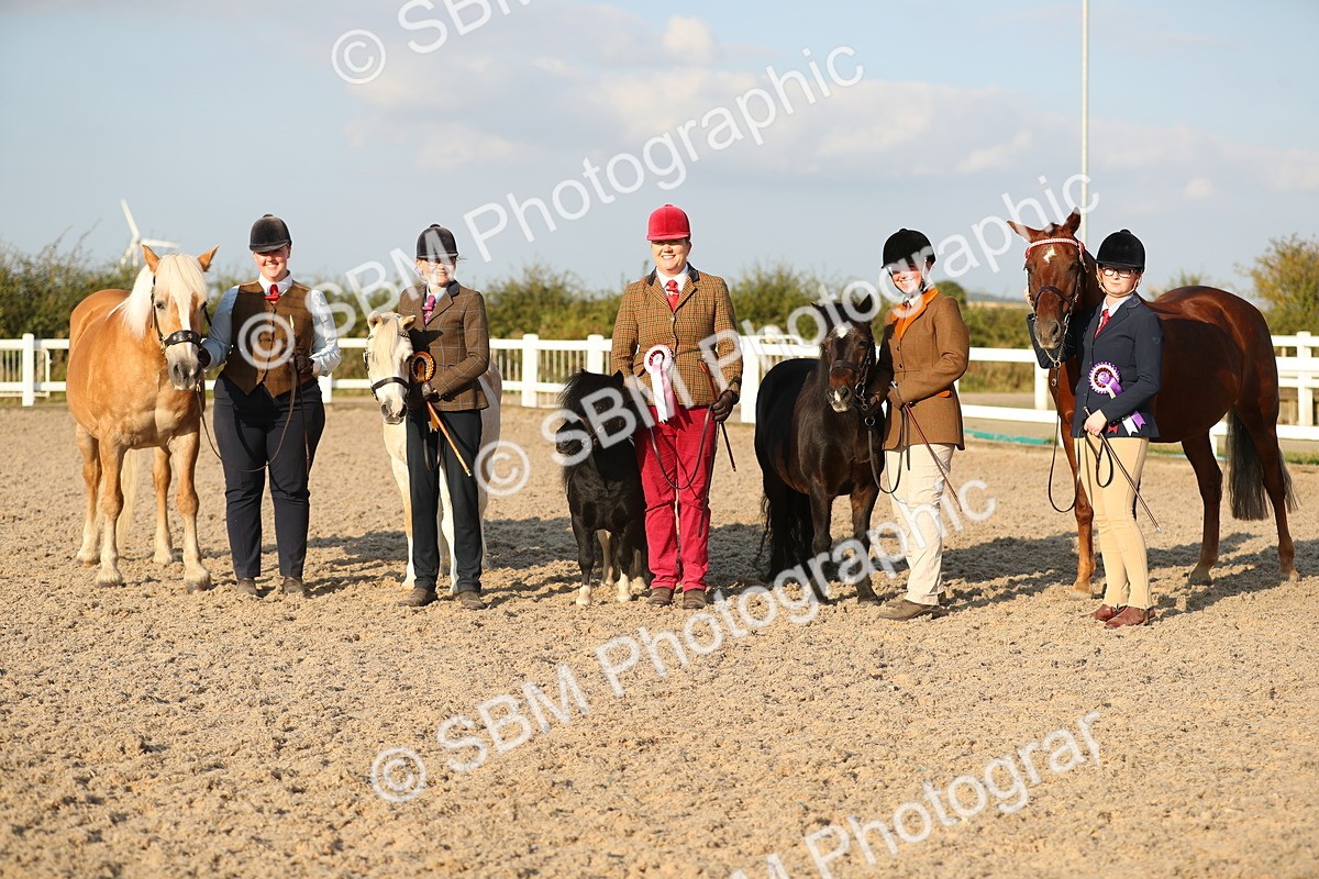 SBM_09156 - Class 29 IH Veteran Pony