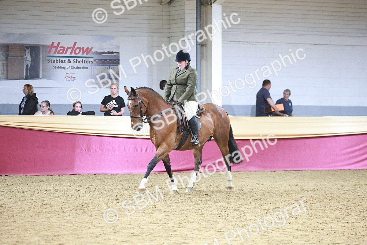 SBM_08209 - Class 11R - Regional Ridden Veteran