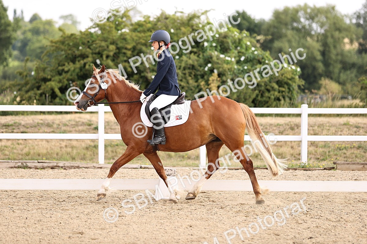 SBM_006471 - Intro 3 - 9.46-10.46