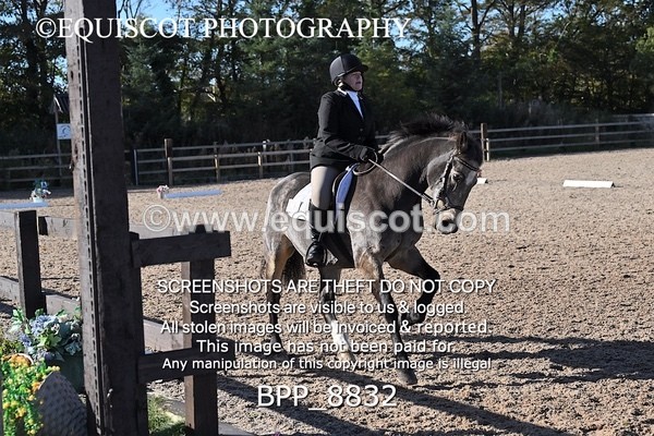 BPP_8832 - LONG ARENA