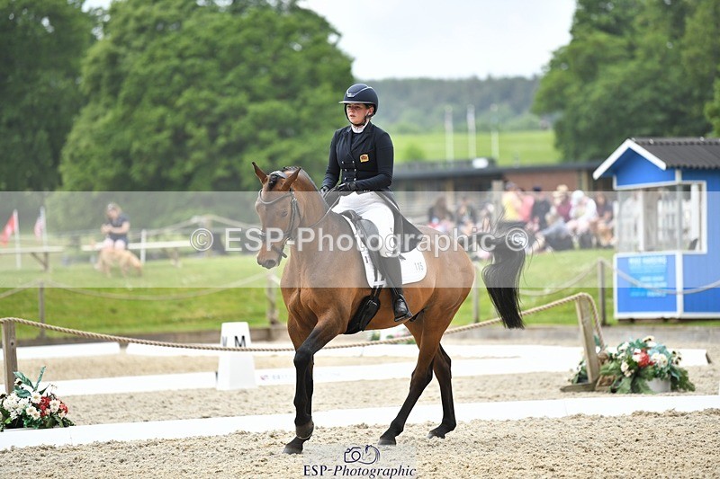 230525-131717-02129 - 115-RNH_ULTIMATE-Harriet_Wright-WEDTrotUp+DR