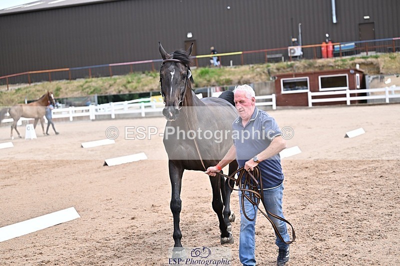 250716-130701-00341 - Trot Up 12.30 to 1.30