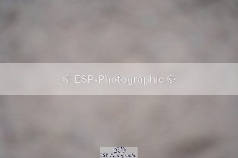 231017A-114810-06776 - Cls 26 Chard Equ Grand Prix