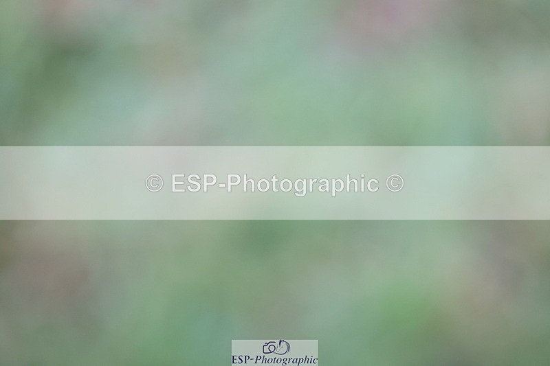 250830A-135814-06855 - Cls 16 Snr Newcomers and 1.10m Open