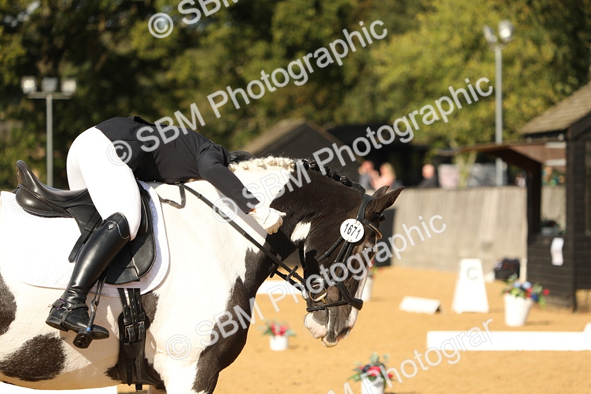 SBM_26728 - D17 - Grand Tour Championship - Novice 27