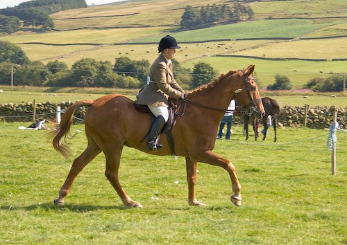 168 - Moniaive Horse Show 2008