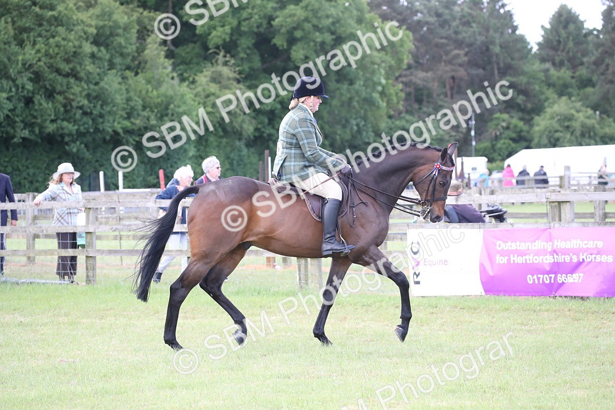SBM_14141 - Class 113-114 - Retraining of Racehorses Ridden