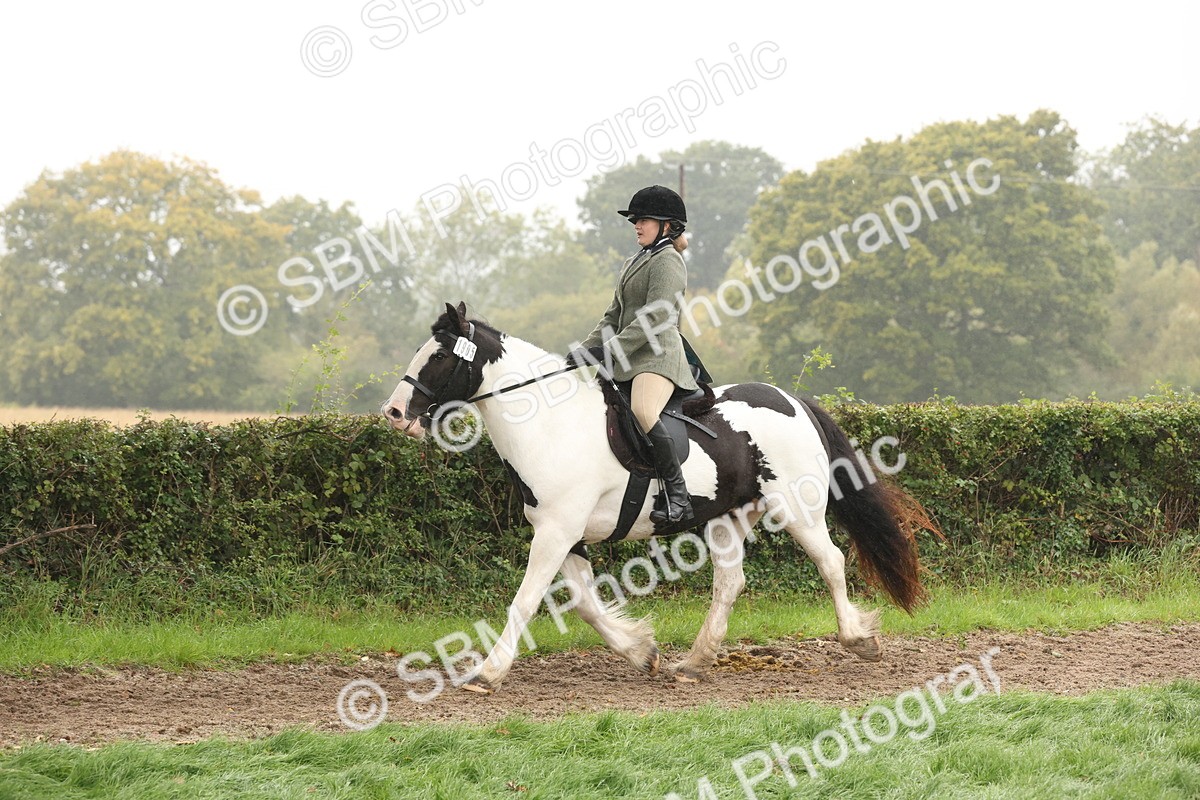 SBM_72737 - S70 - Traditional Cob Ridden