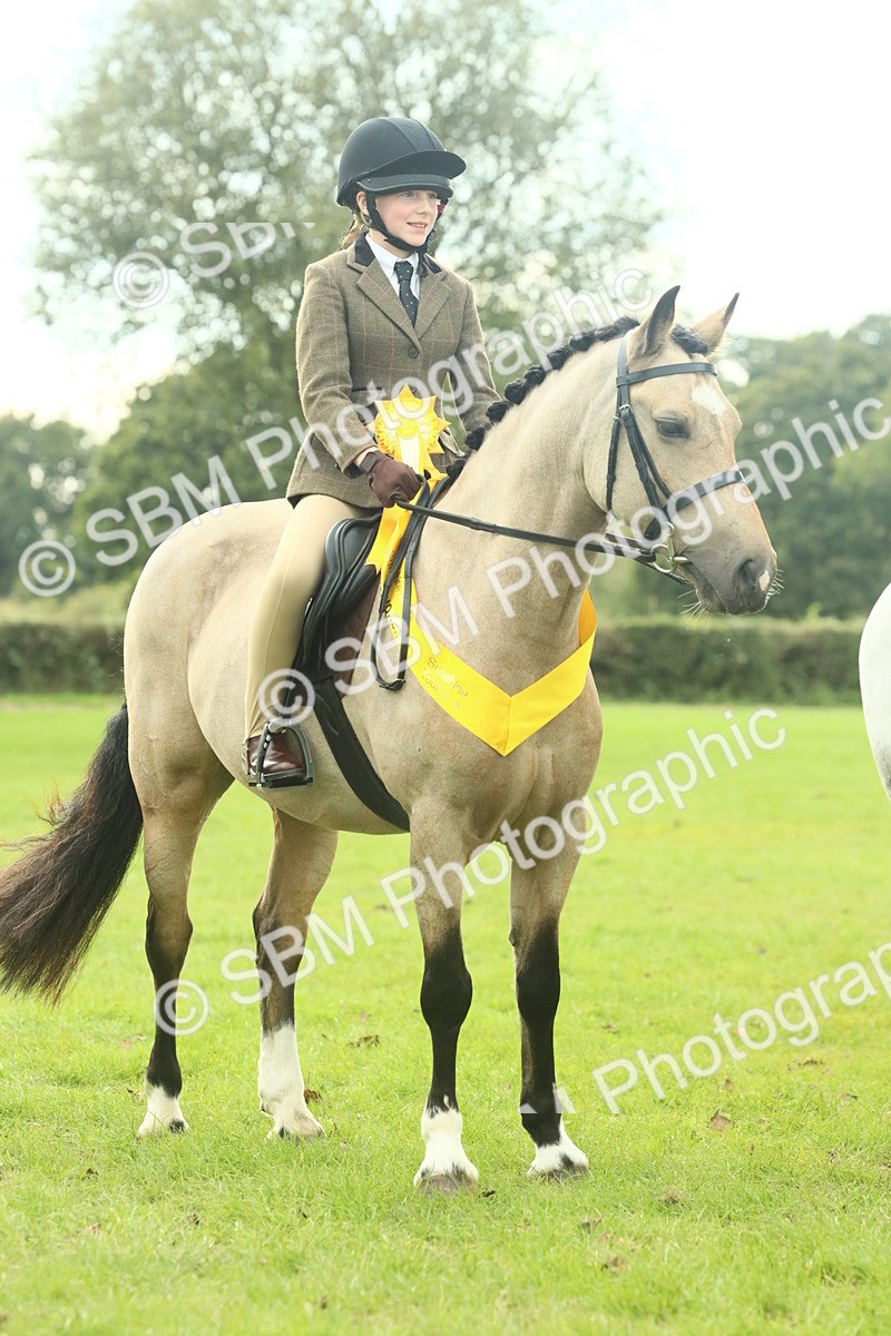SBM_74129 - S 61 - Show Pony & Show Hunter Pony Ridden