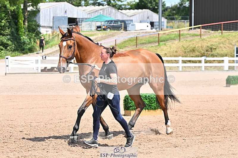 240718A-105317-01806 - Trot Up 1pm to 2pm