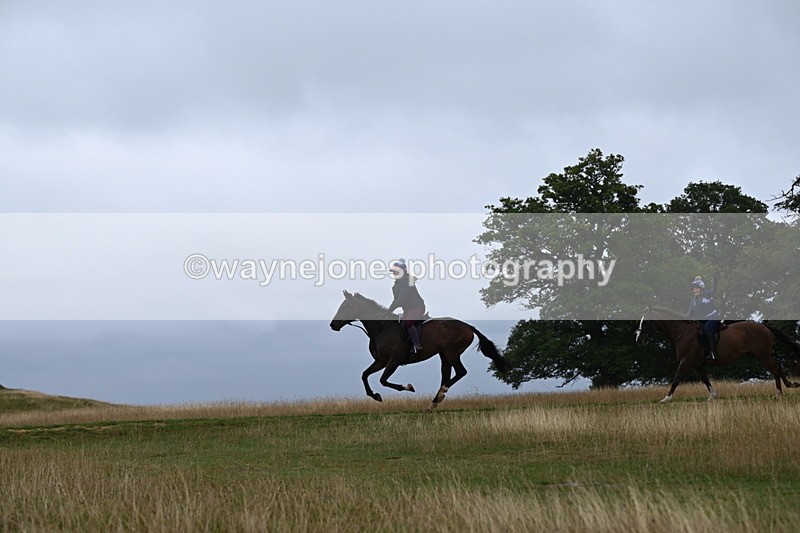 DSC_0132 - Time at Statue 09:51 to 10:54