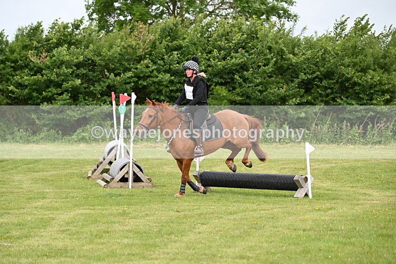 WJ6_2206 - Class 2 40cm