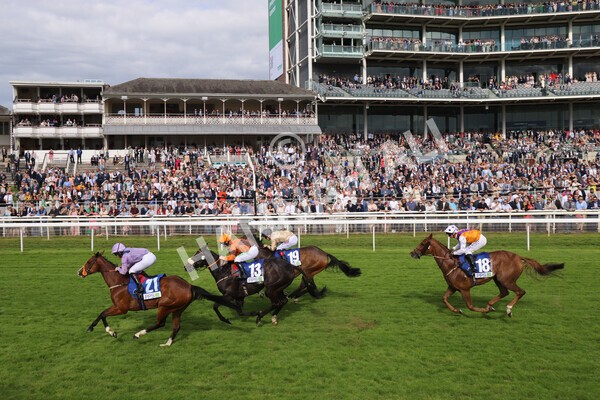 yr11062022r8-51 - Race 8 5.25pm Clean up with PPS Stakes