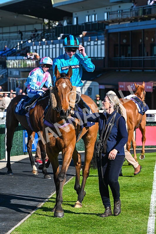 230426-Race 6-Tees George-5297 - Race 6