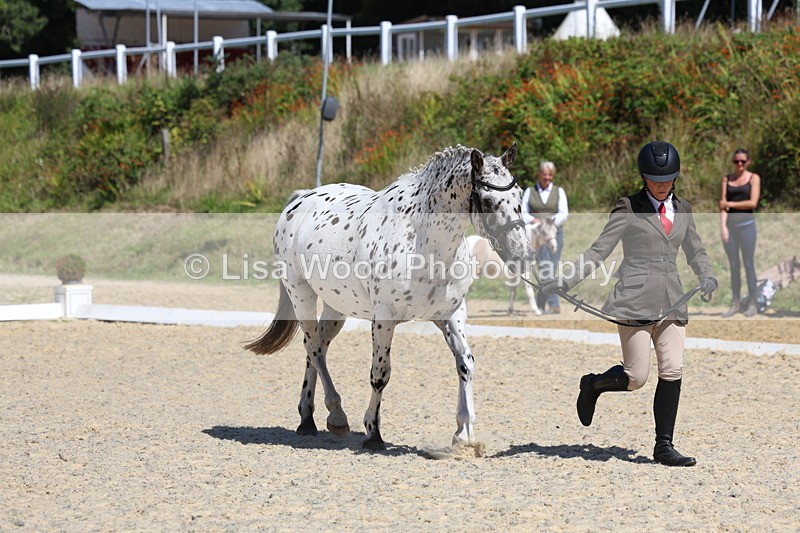 3E7A9434 - Class 29: Veteran In Hand