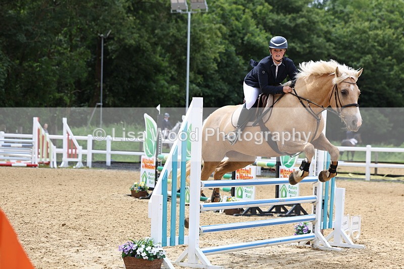 3E7A6014 - Class 4: Senior British Novice/90cm open