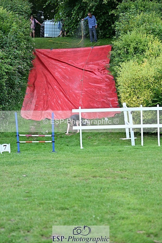 240711-192745-31234 - Cls 210 Jolly Jumps Run and Run