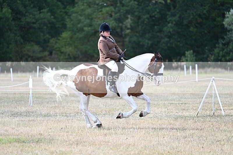 WJ7_7064 - Class 14 Ridden Coloured