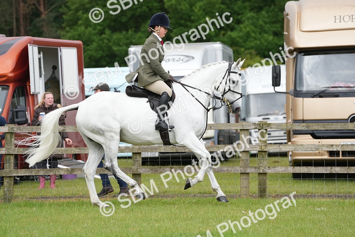SBM_12657 - Class 97-98 - LIHS BSHA Rising Star Working Show Horse Hunter