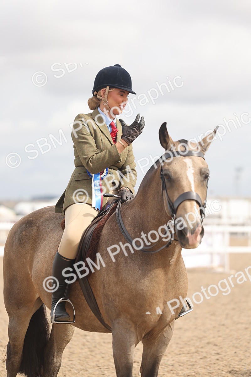 SBM_04574 - Class 19 - Horse/Pony Judge would most like to take home