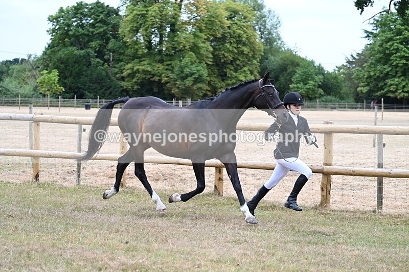 WJ7_8995 - Class 4a Prettiest Mare 14.2hh and over