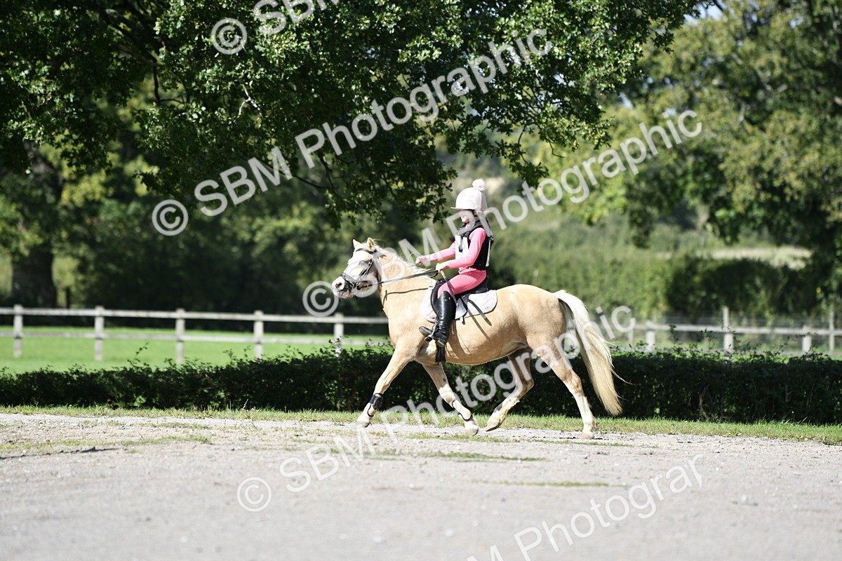 SBM_19164 - E8 - Eventers Challenge 50cm championship