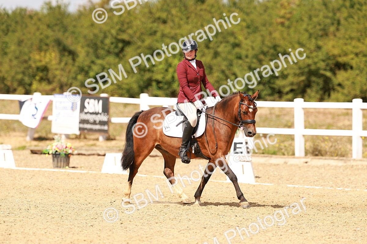 SBM_018646 - Class 9 - N5 Bronze 11.57.13.07