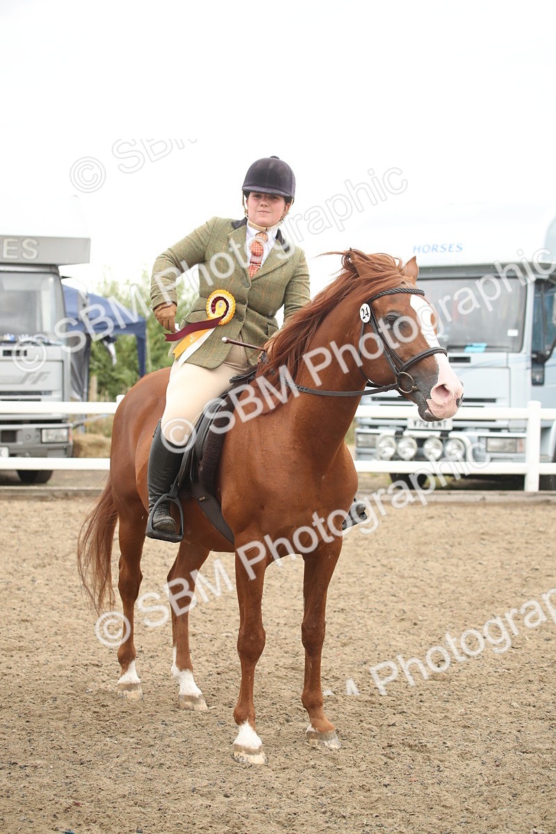 SBM_18417 - Class 509B - Working Veteran - 80cm (20+)