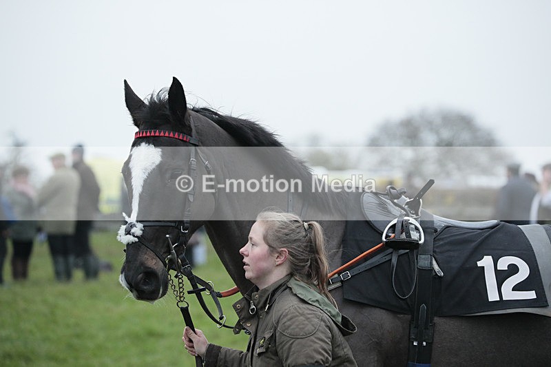 PtP 041222 0572 - Wheatland  Hunt PtP Chaddesley Corbett, Worcs 04/12/22