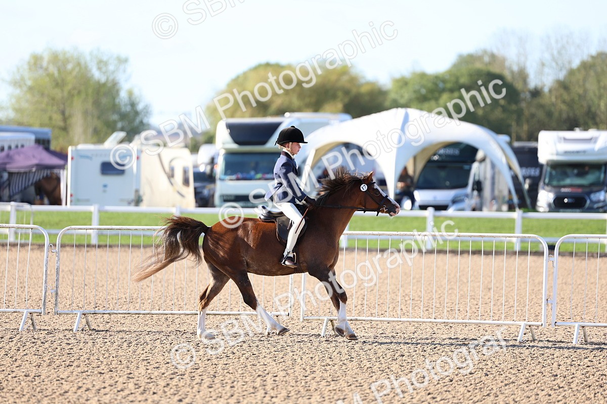 SBM_07848 - Class 301 - Ridden M&M - Small Breeds