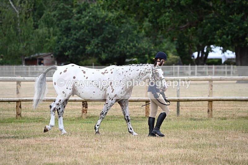 WJ6_4135 - Class 10 Coloured In-hand