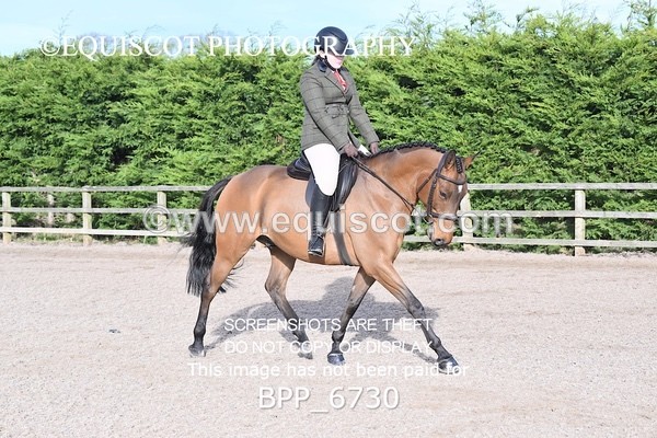 BPP_6730 - RING 1  (RIDDEN HORSES / IN HAND / VETERAN ETC)
